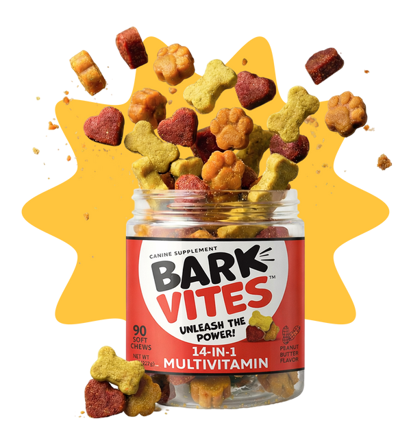 14-in-1 Advanced Multivitamin