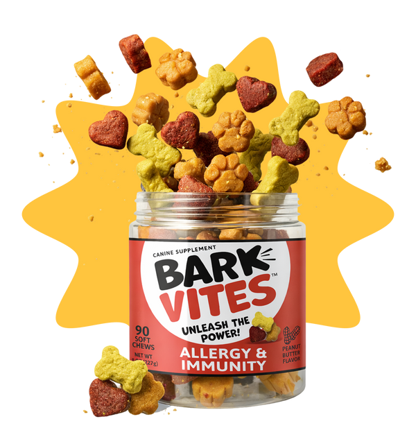 Allergy & Immunity Support